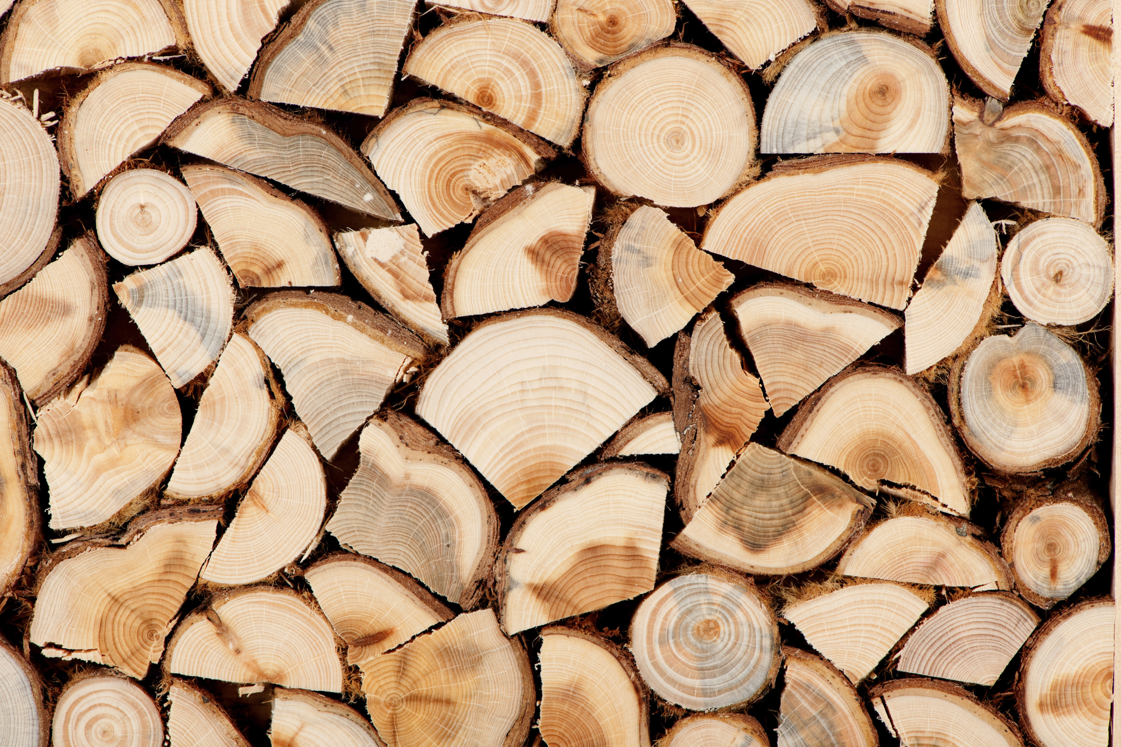 [Hearth.com] Some swear their wood is dry....