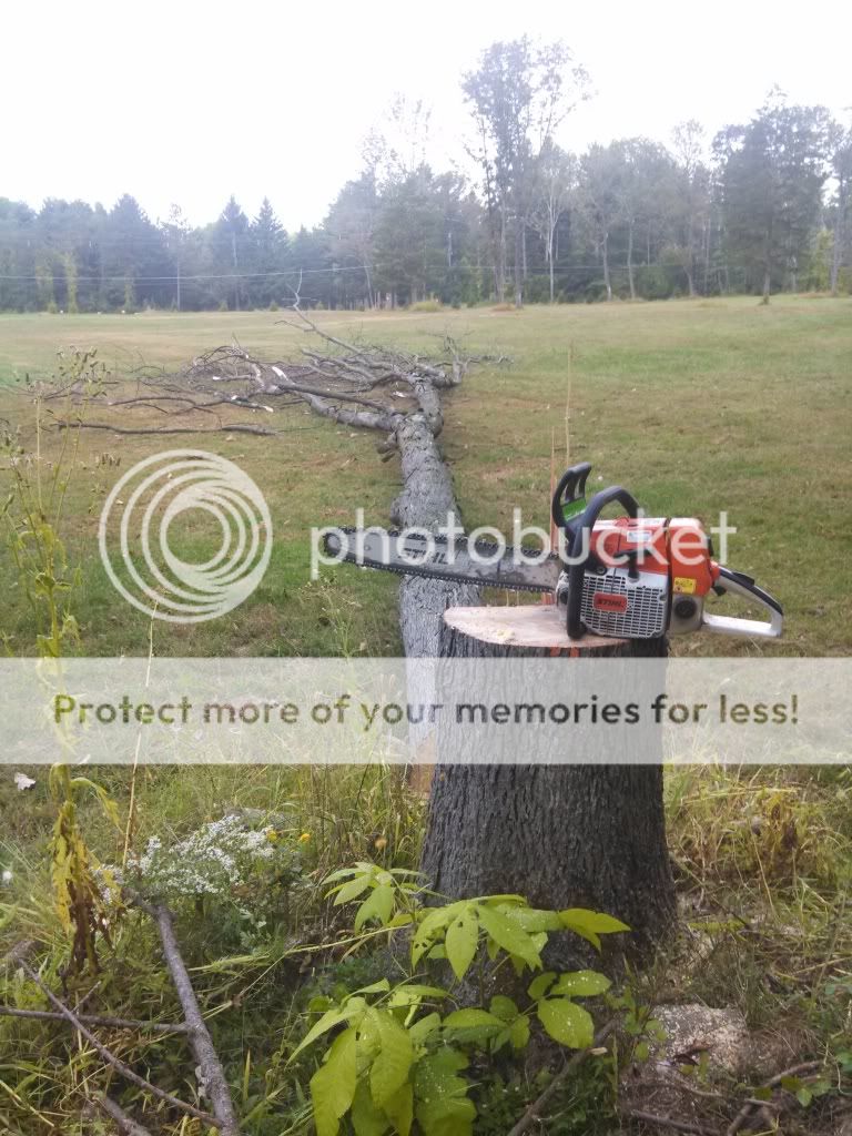 [Hearth.com] Dropped my first tree