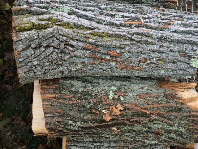 [Hearth.com] Wood ID Please