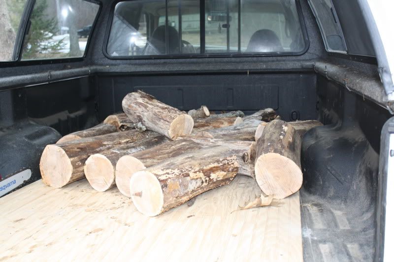 [Hearth.com] choosing downed / dead trees