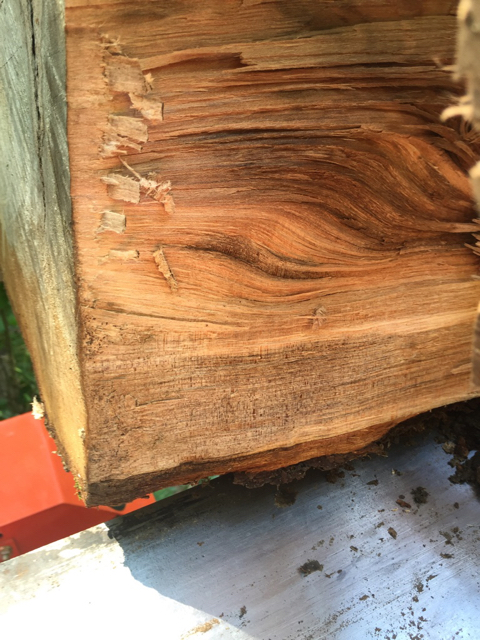[Hearth.com] Wood ID - it has Birdseye , so maple?