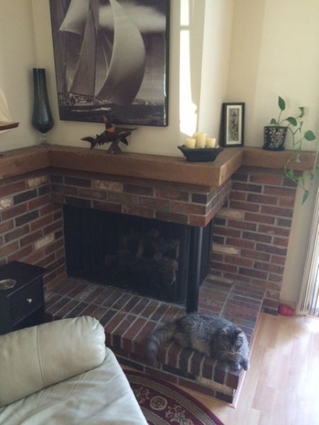 Looking to upgrade my fireplace and heat w/ wood