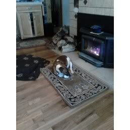 [Hearth.com] Looking to Install a Wood Burning Stove Insert in old Fireplace.  Need advice!