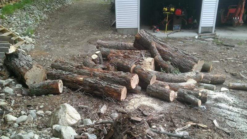 [Hearth.com] Came home to a load of maple.