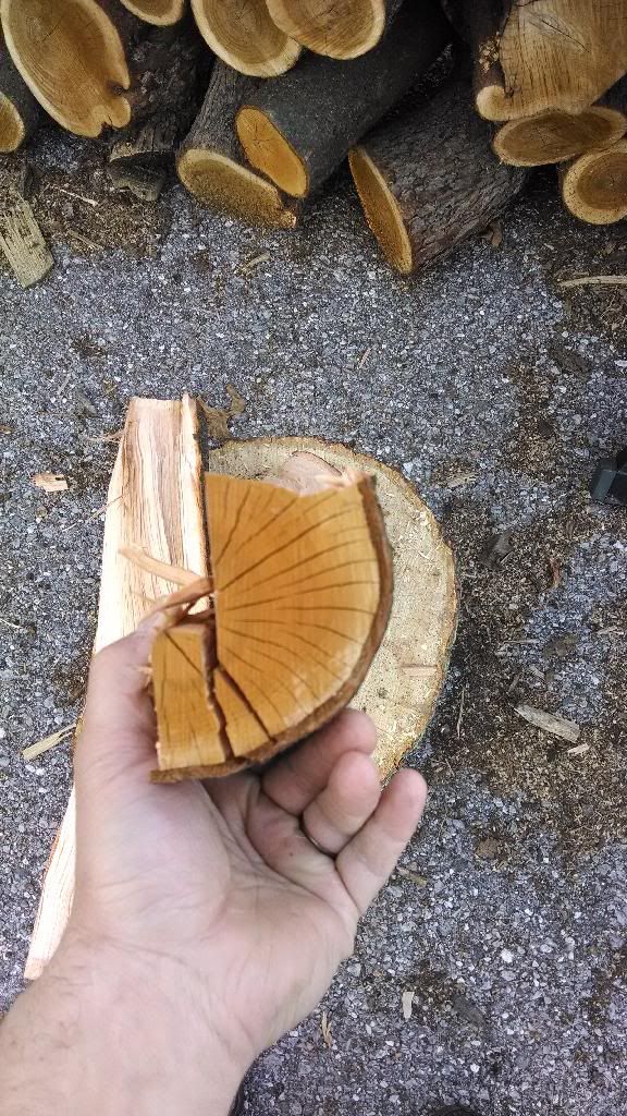 [Hearth.com] Please - Wood ID