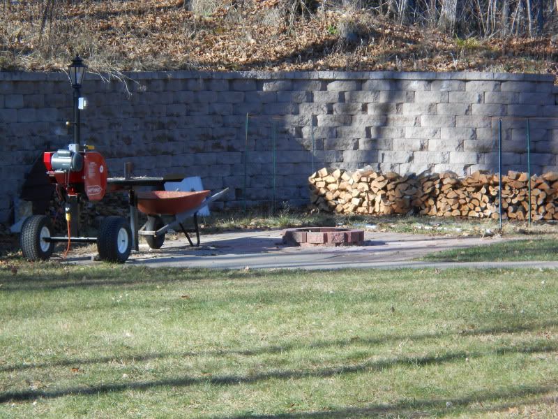 [Hearth.com] Trees in yard