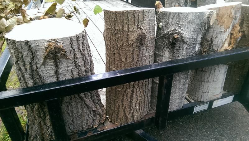 [Hearth.com] Wood ID please