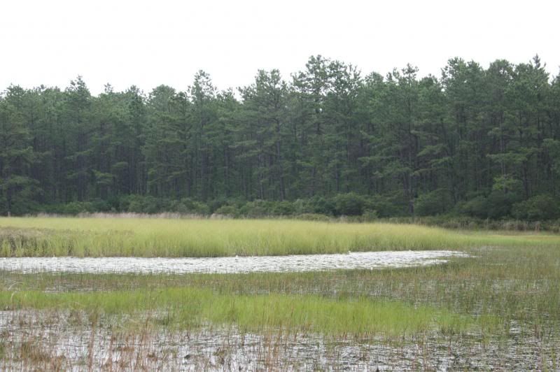 [Hearth.com] Heading to the Jersey Pines this weekend