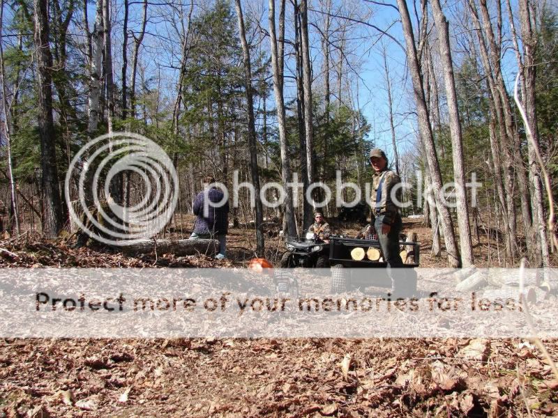 [Hearth.com] Spot the loon