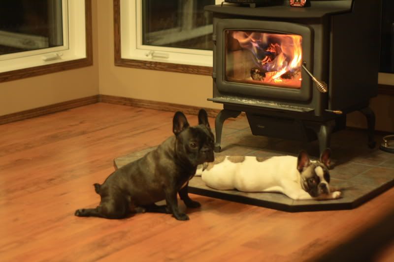 [Hearth.com] This is what happens...
