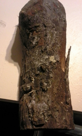 [Hearth.com] Large Hickory Branch?