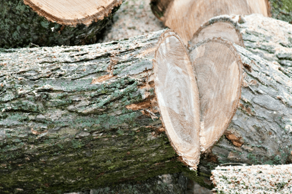 www.firewood-for-life.com