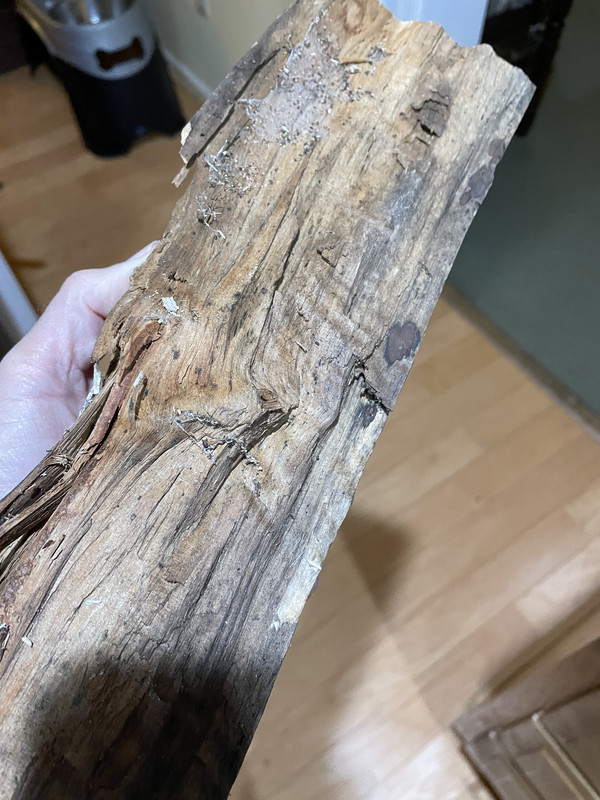 [Hearth.com] Know your end grain? Wood ID please