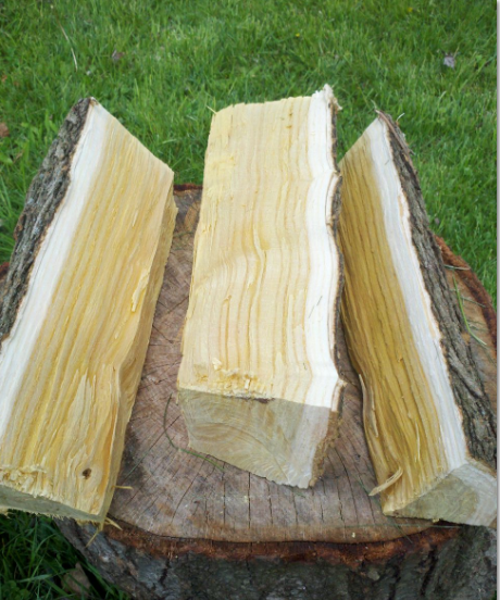 [Hearth.com] Poplar?