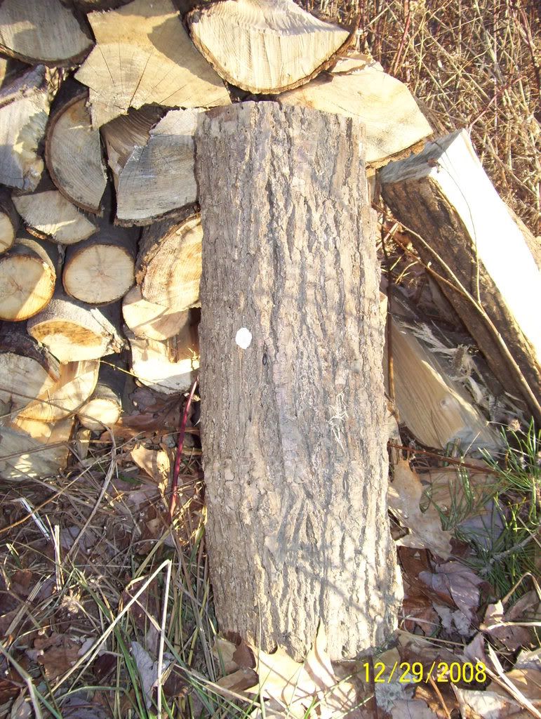 [Hearth.com] Yesterdays haul - Do I know my wood?