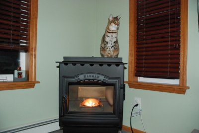 [Hearth.com] Pellet Stove Concerns