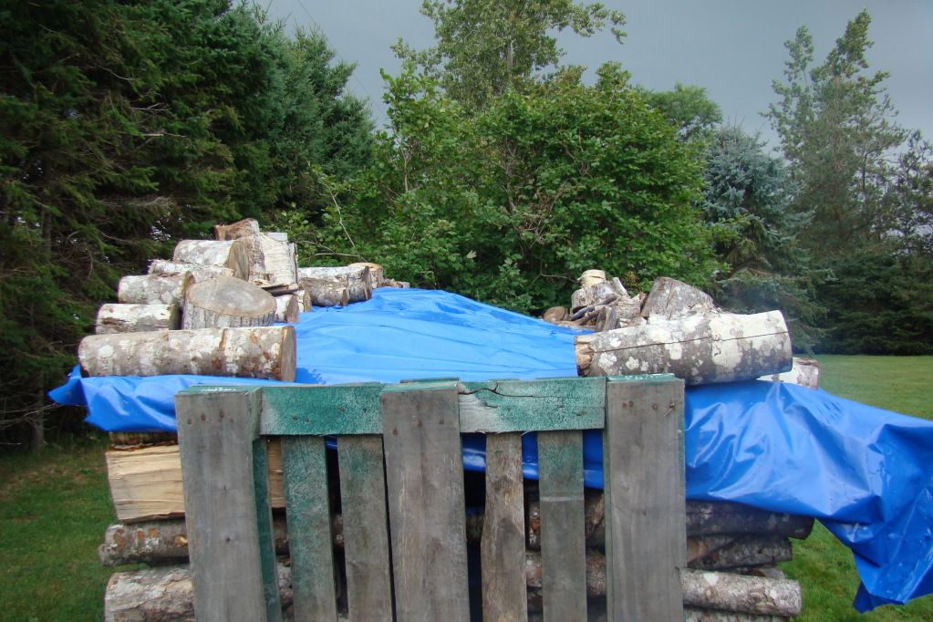 [Hearth.com] Keeping it Dry