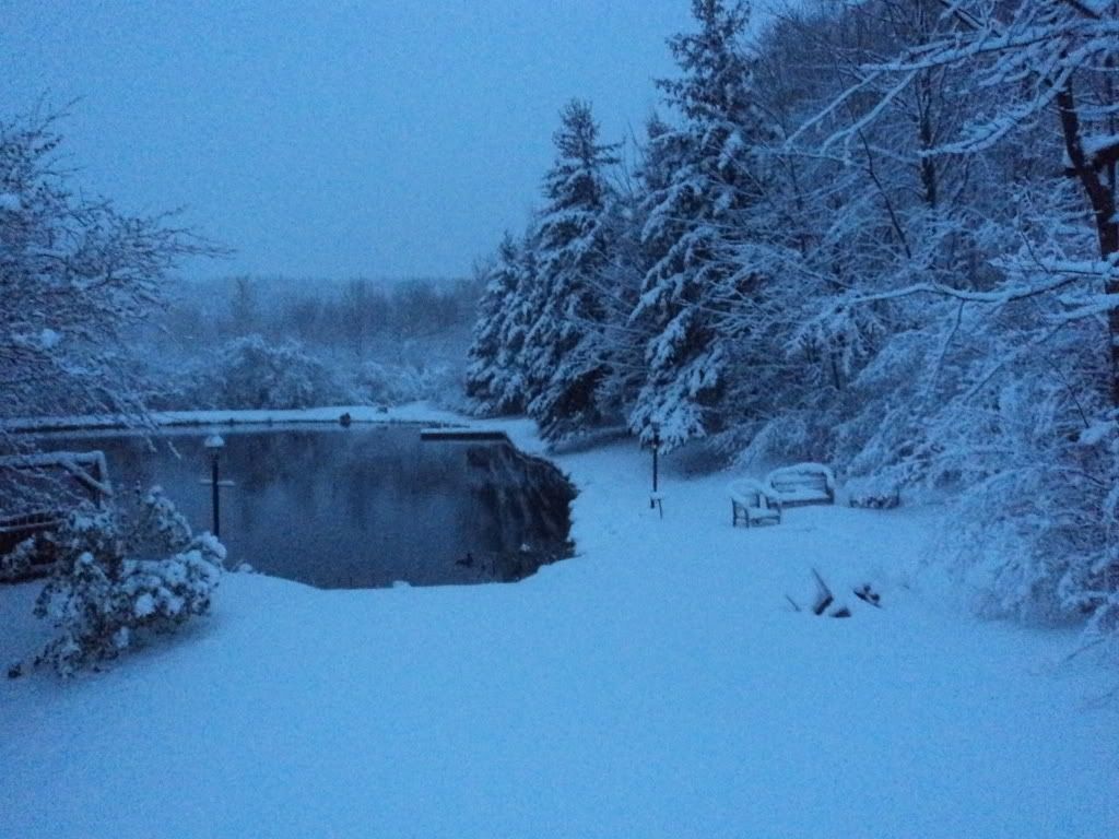 20"of snow  don't shut that stove down just yet