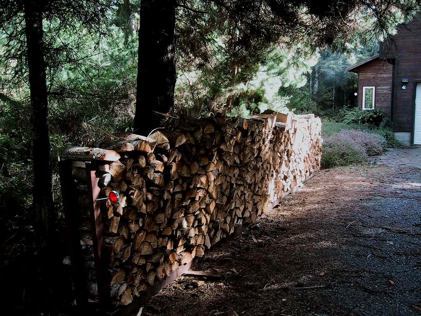 [Hearth.com] Help me Decide About Past-Prime Wood