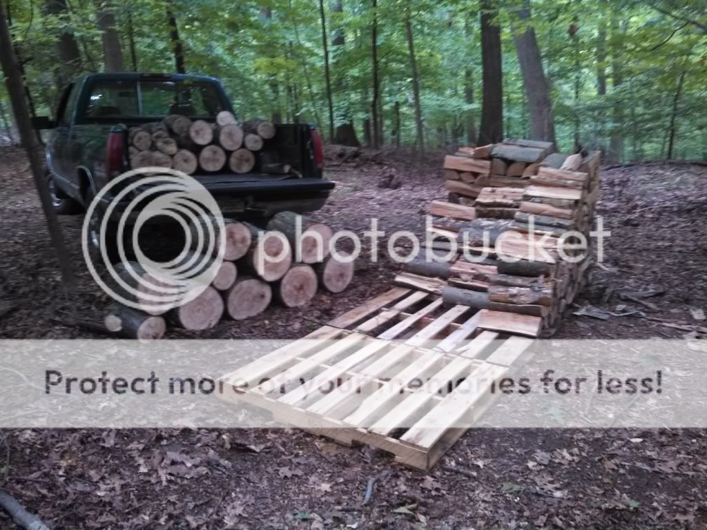 [Hearth.com] Dropped my first tree