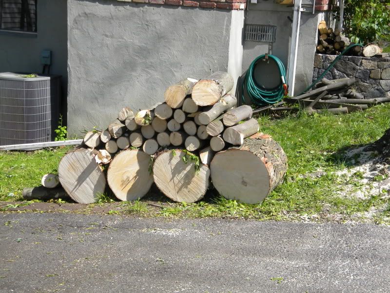 [Hearth.com] Got cut down an up tree!