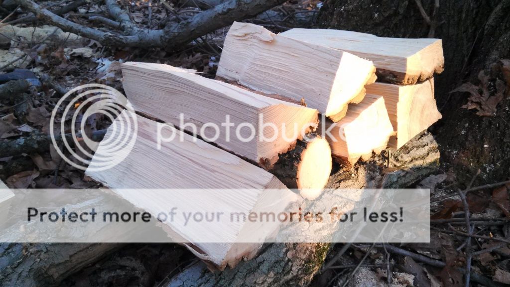 [Hearth.com] Wood ID