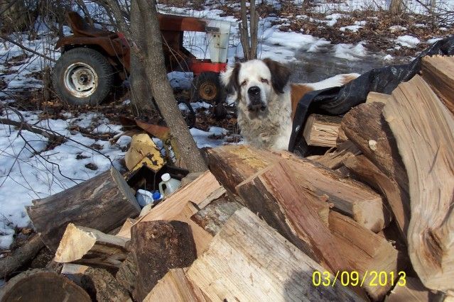 [Hearth.com] wood pile update