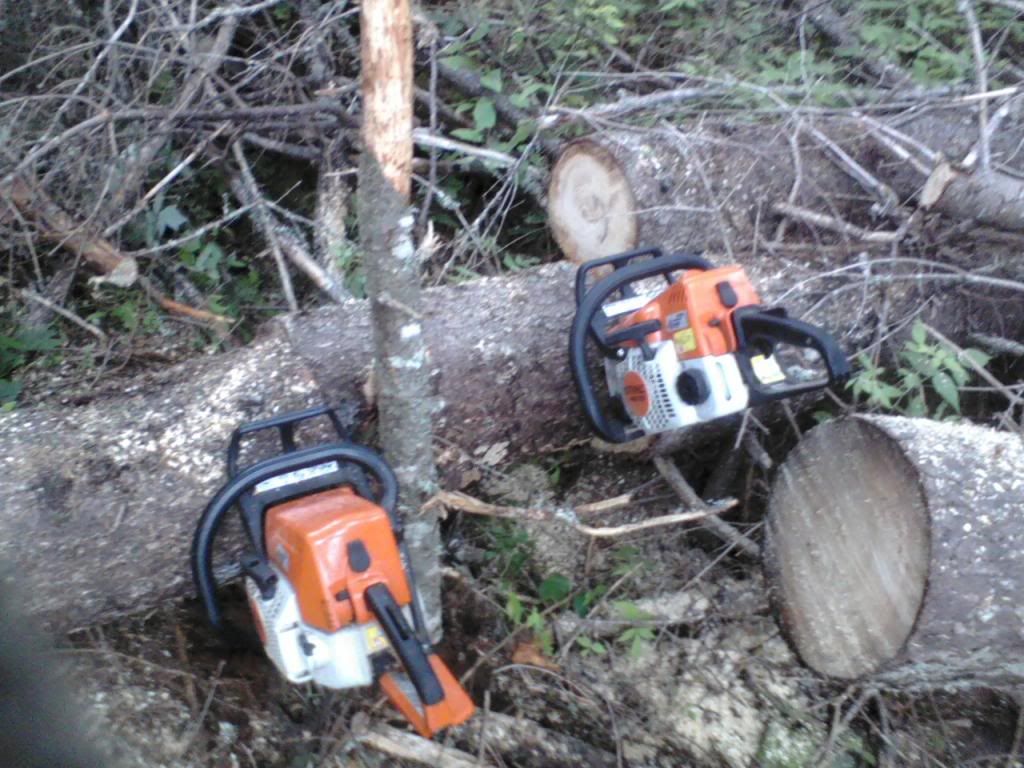 Just added 2 used saws, Stihl MS250 and MS170