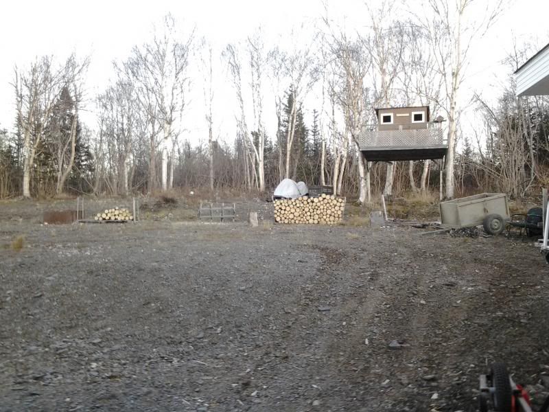 [Hearth.com] Me and the old man in the woods.