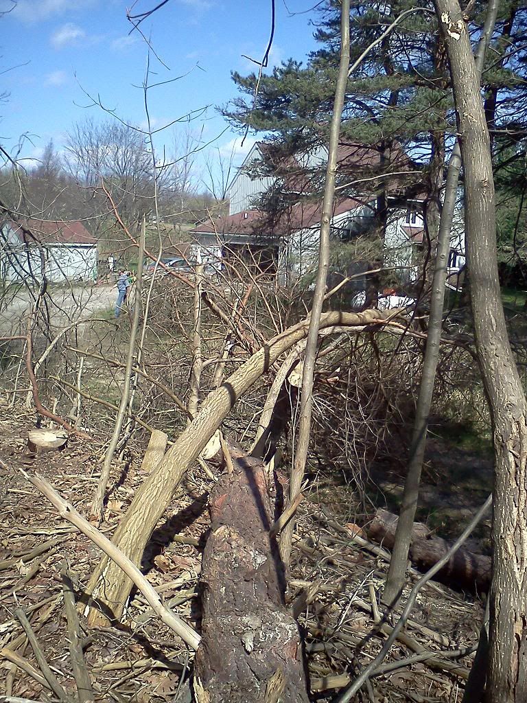 [Hearth.com] Cut some shoulder season wood today!