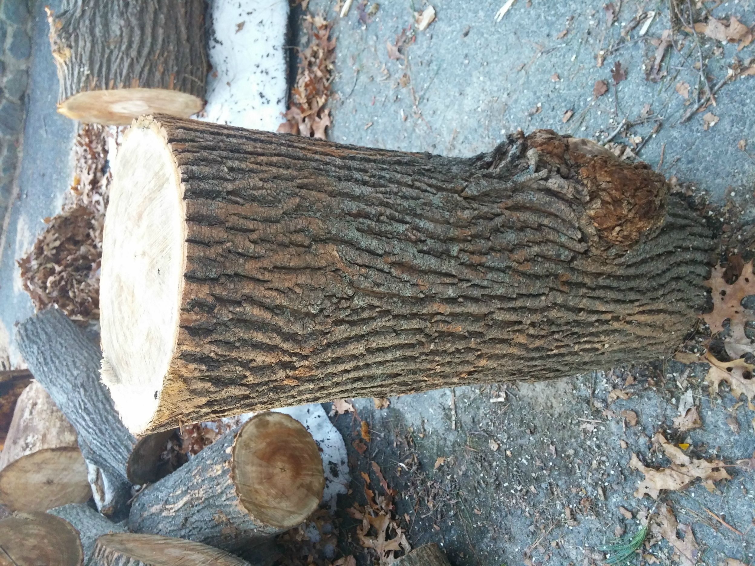 [Hearth.com] Wood ID