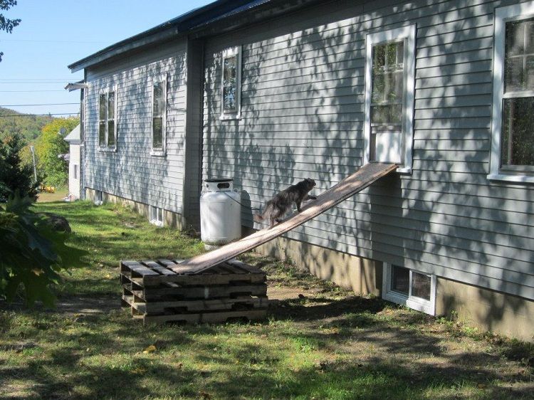 [Hearth.com] What do you do with old pallets?
