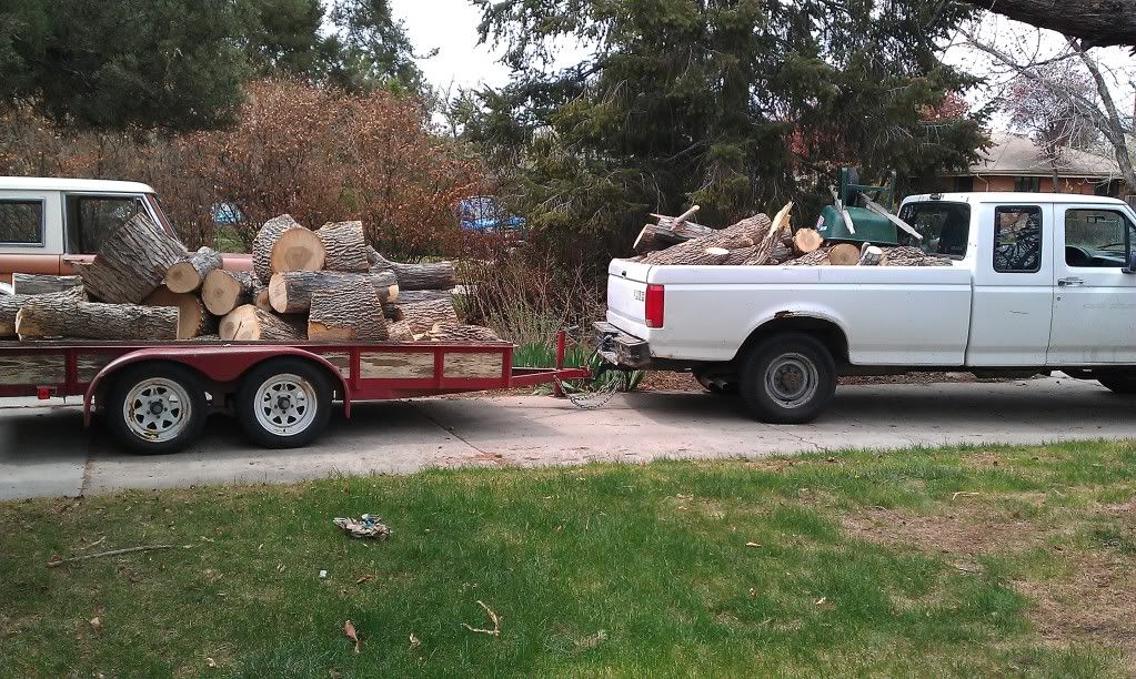 How much wood could a wood truck haul if a wood truck could haul wood?