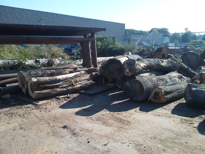 Yet another load of mostly large oak and some maple!