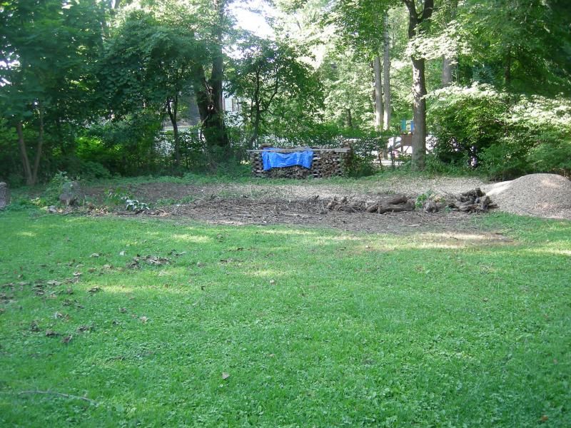 The Wood Processing Area