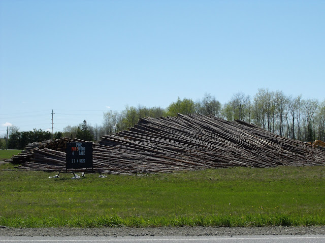 What is the biggest woodpile you have seen in a yard??? See pic.