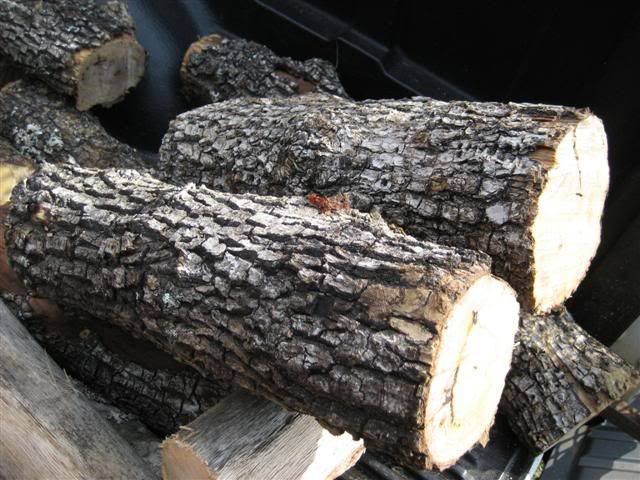[Hearth.com] Wood ID...possible scrounge..not much to go with right now....