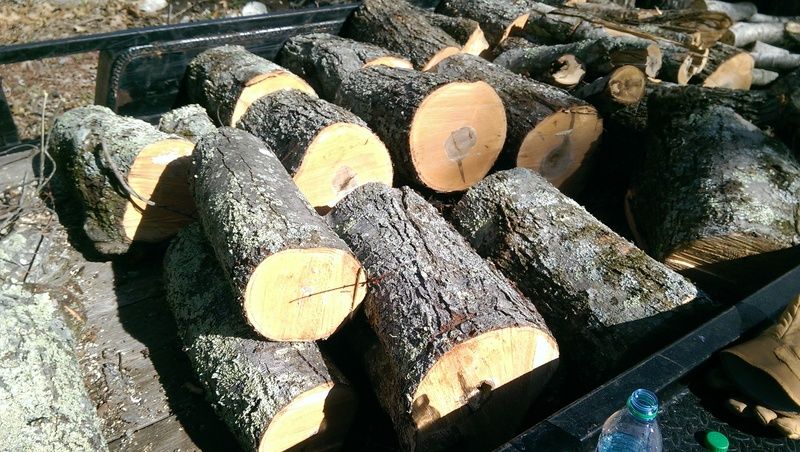 [Hearth.com] Wood ID please