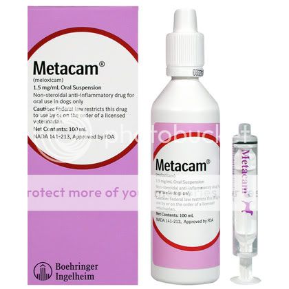 [Hearth.com] Just killin' me