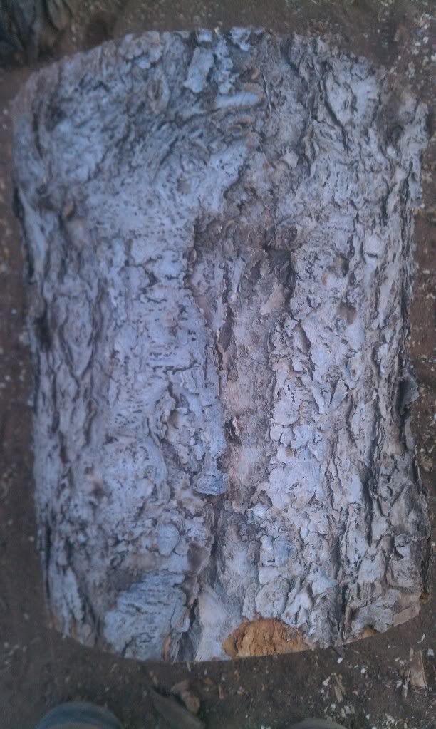 [Hearth.com] wood id