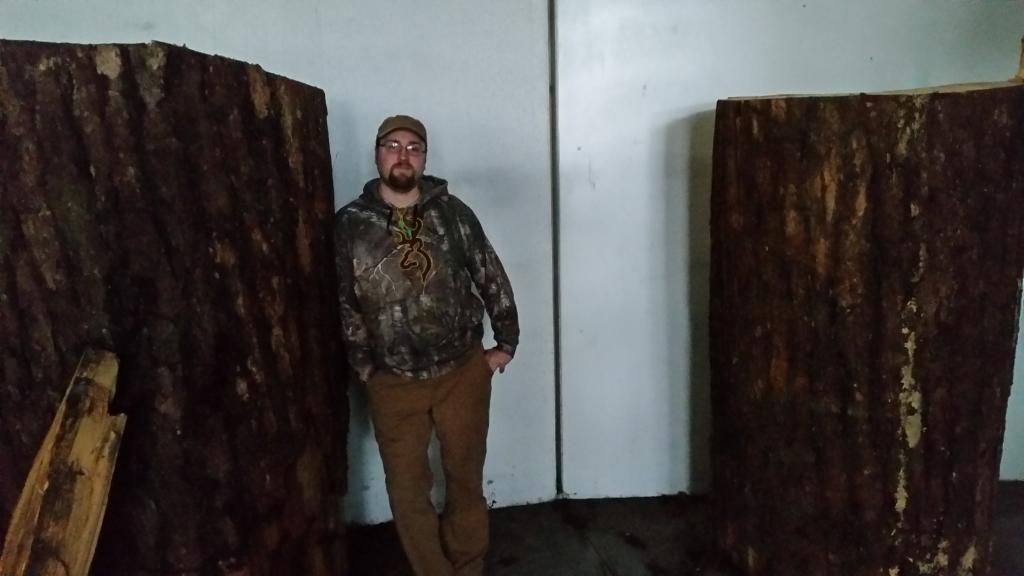 [Hearth.com] When was your wood born?