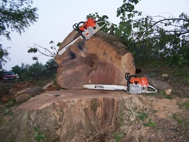 [Hearth.com] Which Stihl for my dad?