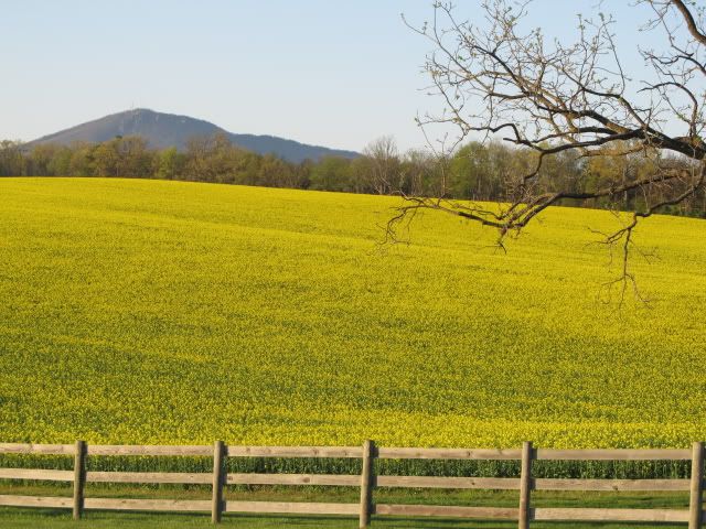 [Hearth.com] View from your "office"