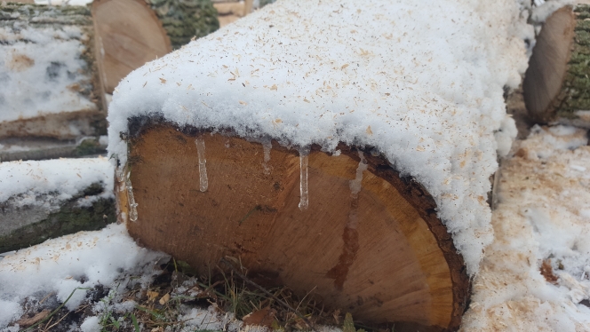 [Hearth.com] Wood ID please!