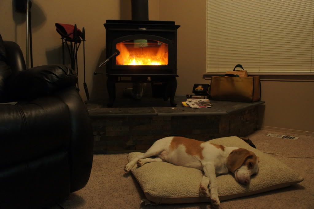 [Hearth.com] Life's Hard for a Dog