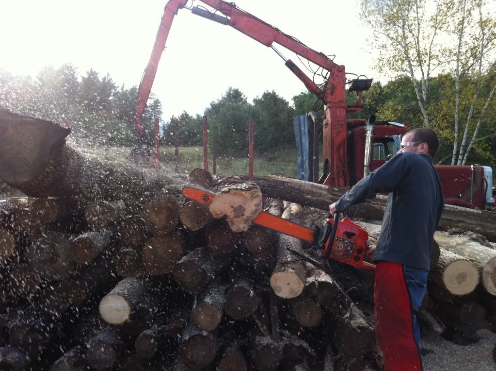 [Hearth.com] NH Chainsaw Deal