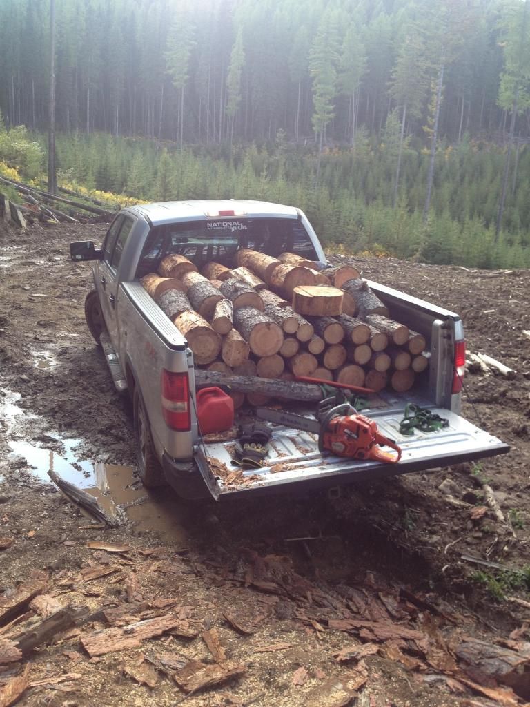 [Hearth.com] Little adventure up in 'Larch' land.