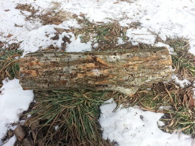 [Hearth.com] Wood ID please