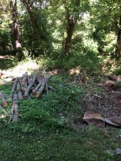 [Hearth.com] Rustic woodshed build