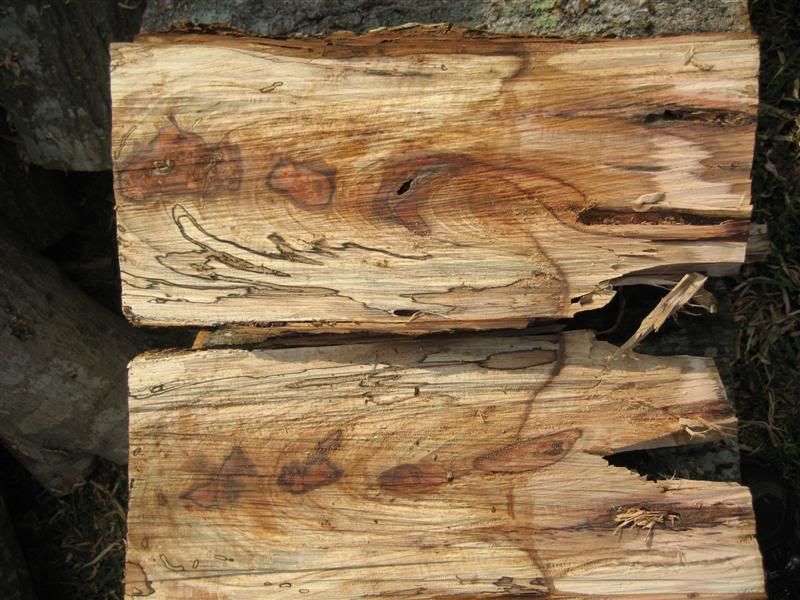 [Hearth.com] Wood ID...possible scrounge..not much to go with right now....